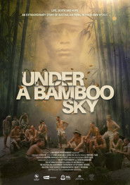 Under a Bamboo Sky